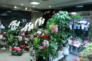 「フローリスト大久」　（三重県伊賀市）の花屋店舗写真2